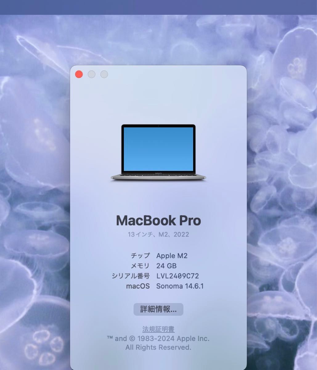 MacBook Pro M2 メモリ 24GB/1TB スペースグレー 13インチ MacBook Pro M2 メモリ 24GB/1TB スペースグレー 13インチ