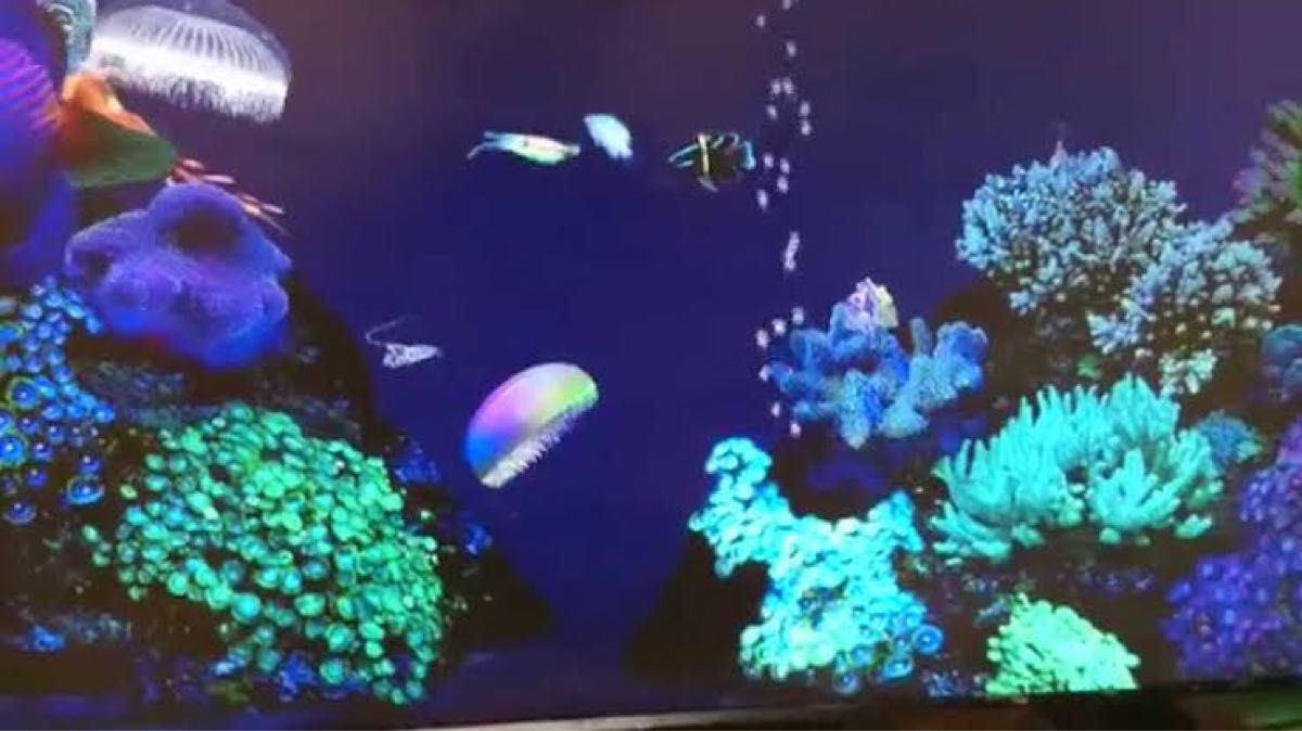 XBOX360 アクアゾーン AquaZone LIFE SIMULATOR|Yahoo!フリマ XBOX360 アクアゾーン AquaZone LIFE SIMULATOR|Yahoo!フリマ
