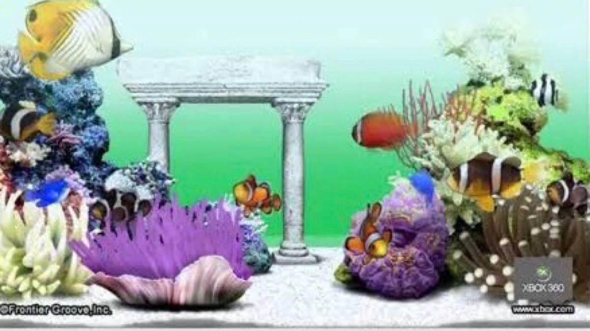 XBOX360 アクアゾーン AquaZone LIFE SIMULATOR|Yahoo!フリマ XBOX360 アクアゾーン AquaZone LIFE SIMULATOR|Yahoo!フリマ