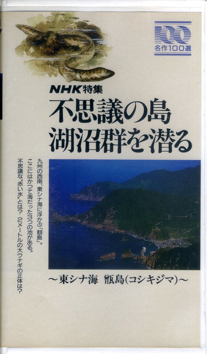 即決〈同梱歓迎〉VHS NHK特集 名作100選 不思議の島 湖沼群を潜る～東シナ海 甑島(コシキジマ)～ ビデオ◎その他多数出品中∞m207_画像1