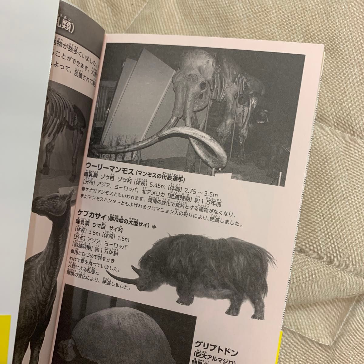 絶滅危機動物 新ポケット版 学研の図鑑14/今泉忠明,小宮輝之 絶滅危機動物 新ポケット版 学研の図鑑14/今泉忠明,小宮輝之