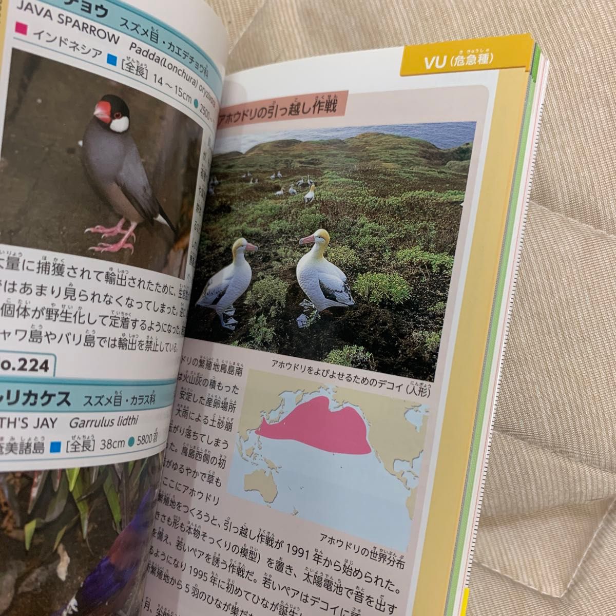 絶滅危機動物 新ポケット版 学研の図鑑14/今泉忠明,小宮輝之 絶滅危機動物 新ポケット版 学研の図鑑14/今泉忠明,小宮輝之