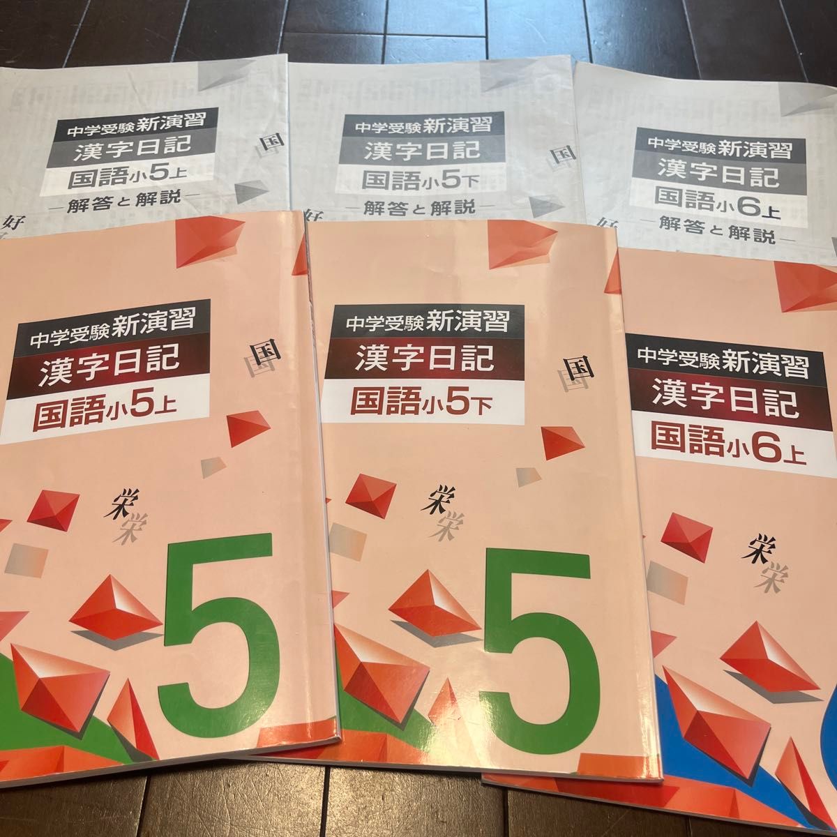 2022〜2023年度使用 中学受験 新演習 漢字日記 国語小5上 国語小 2022〜2023年度使用 中学受験 新演習 漢字日記 国語小5上 国語小
