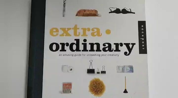Extra Ordinary: An Amusing Guide For Unleashing Your Creativity