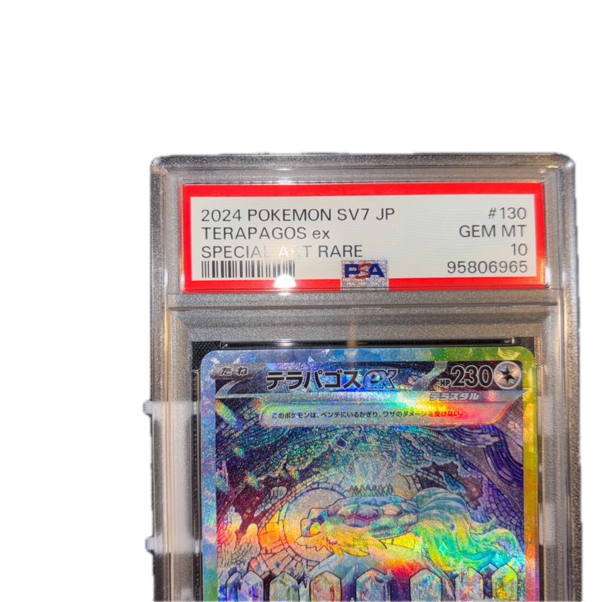 ポケモンカード テラパゴス sar psa10|Yahoo!フリマ(旧PayPay ポケモンカード テラパゴス sar psa10|Yahoo!フリマ(旧PayPay