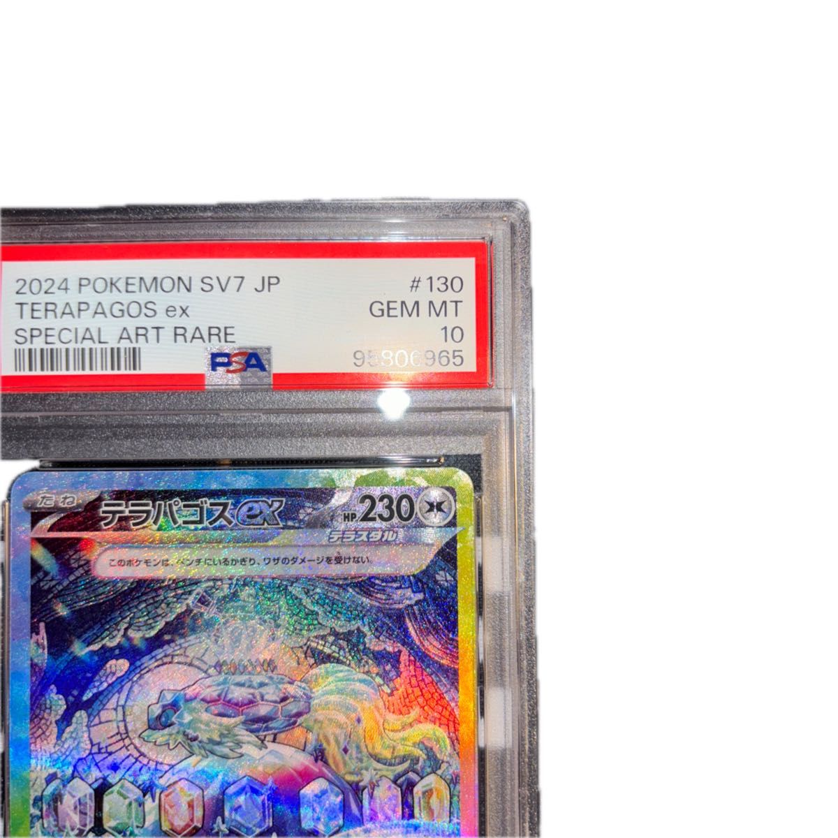 ポケモンカード テラパゴス sar psa10|Yahoo!フリマ(旧PayPay ポケモンカード テラパゴス sar psa10|Yahoo!フリマ(旧PayPay