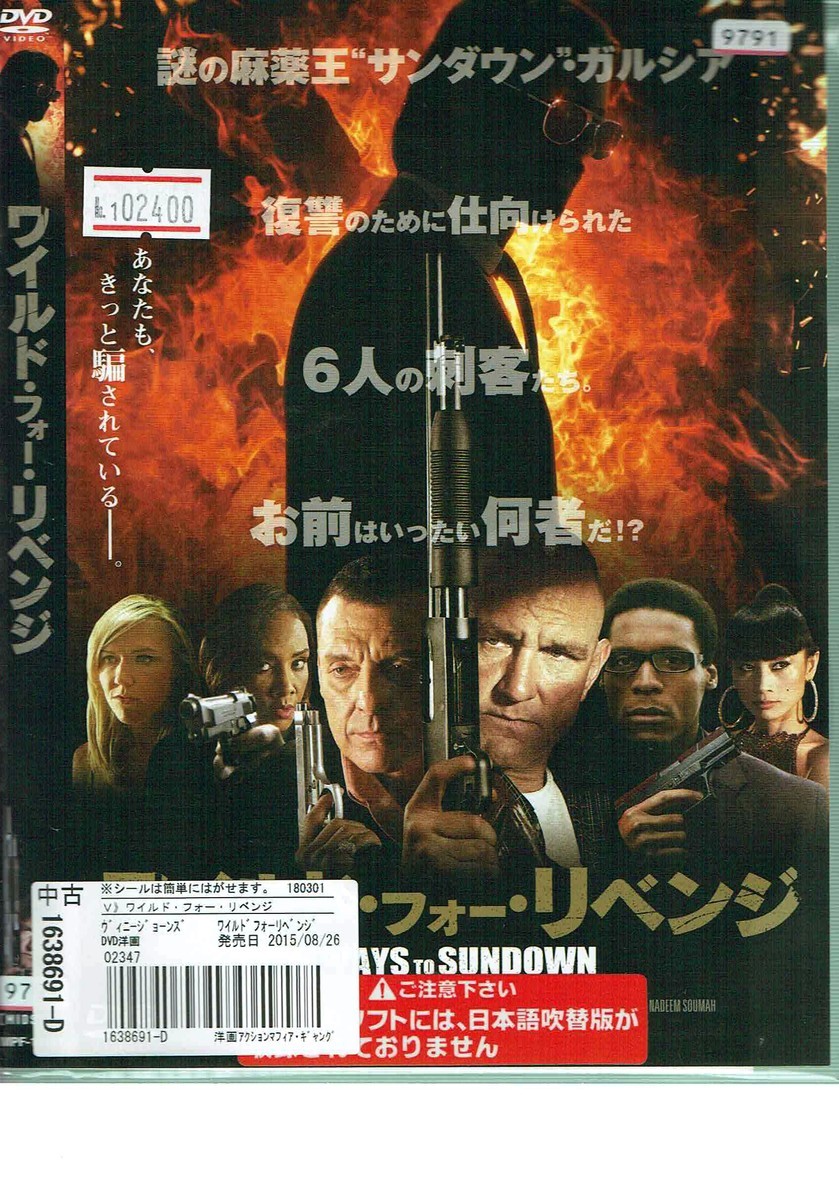 No1_02400 DVD ワイルド・フォー・リベンジ ヴィニー・ジョーンズ ドミニク・スウェイン バイ・リン レン落_画像1