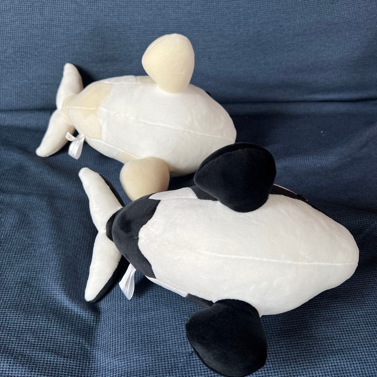 名古屋港水族館 ぬいぐるみくじ 白黒シャチ セット 新品|Yahoo 名古屋港水族館 ぬいぐるみくじ 白黒シャチ セット 新品|Yahoo