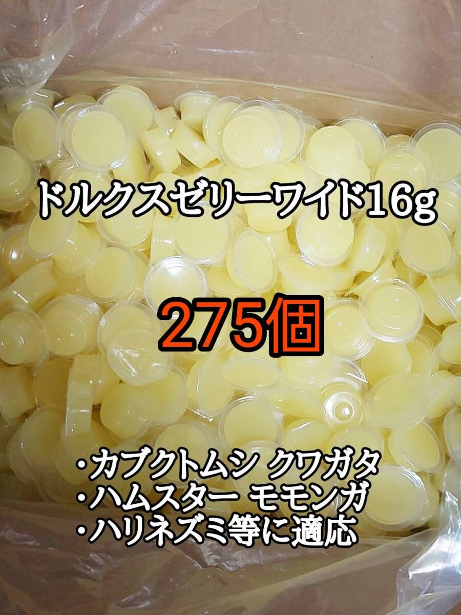 ドルクスゼリーワイドS16g 275個 フジコン 昆虫ゼリー オオクワ カブトムシ 小動物 クワカブ
