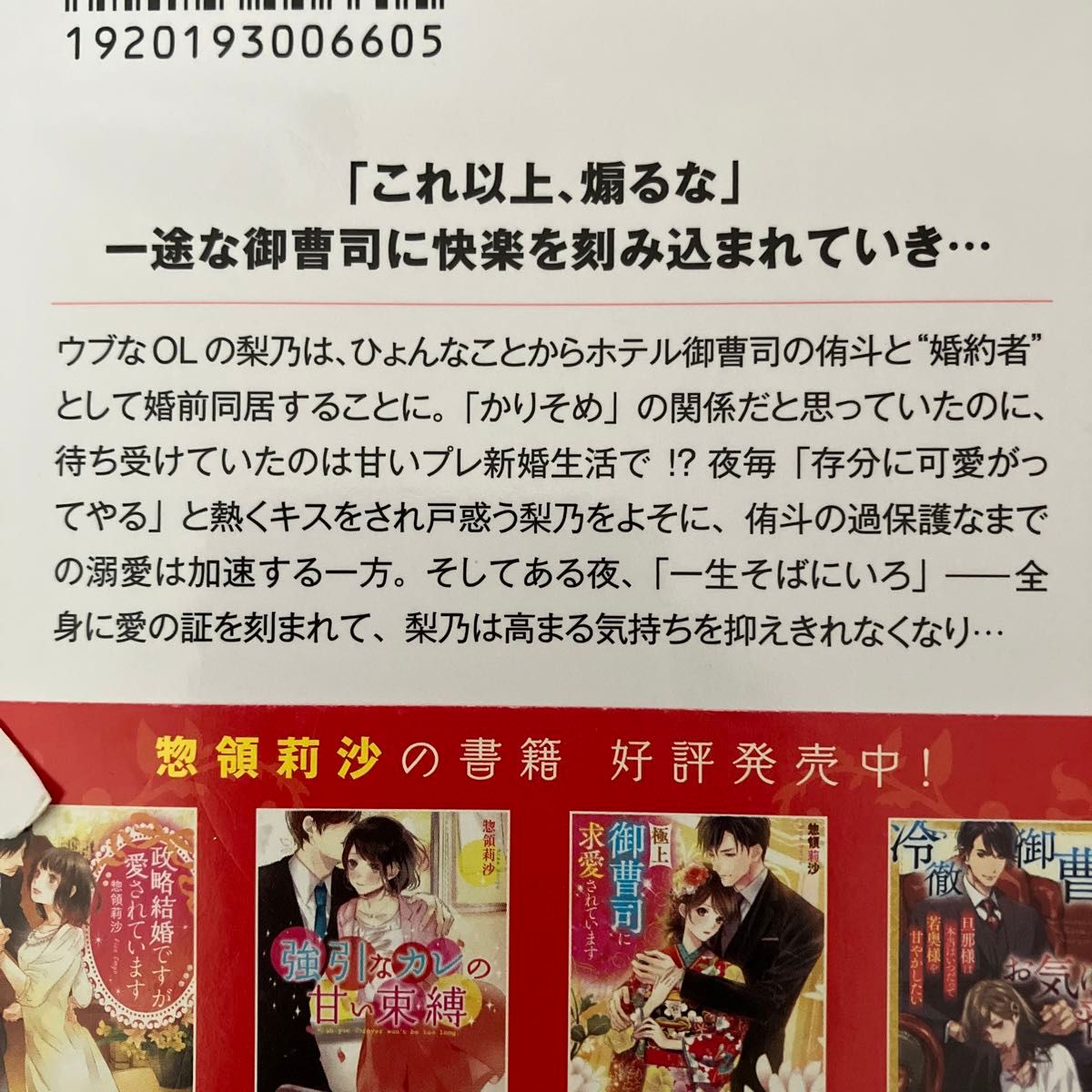 TL小説 溺愛は蜜夜に始まる 御曹司と仮初め情欲婚 (ベリーズ TL小説 溺愛は蜜夜に始まる 御曹司と仮初め情欲婚 (ベリーズ