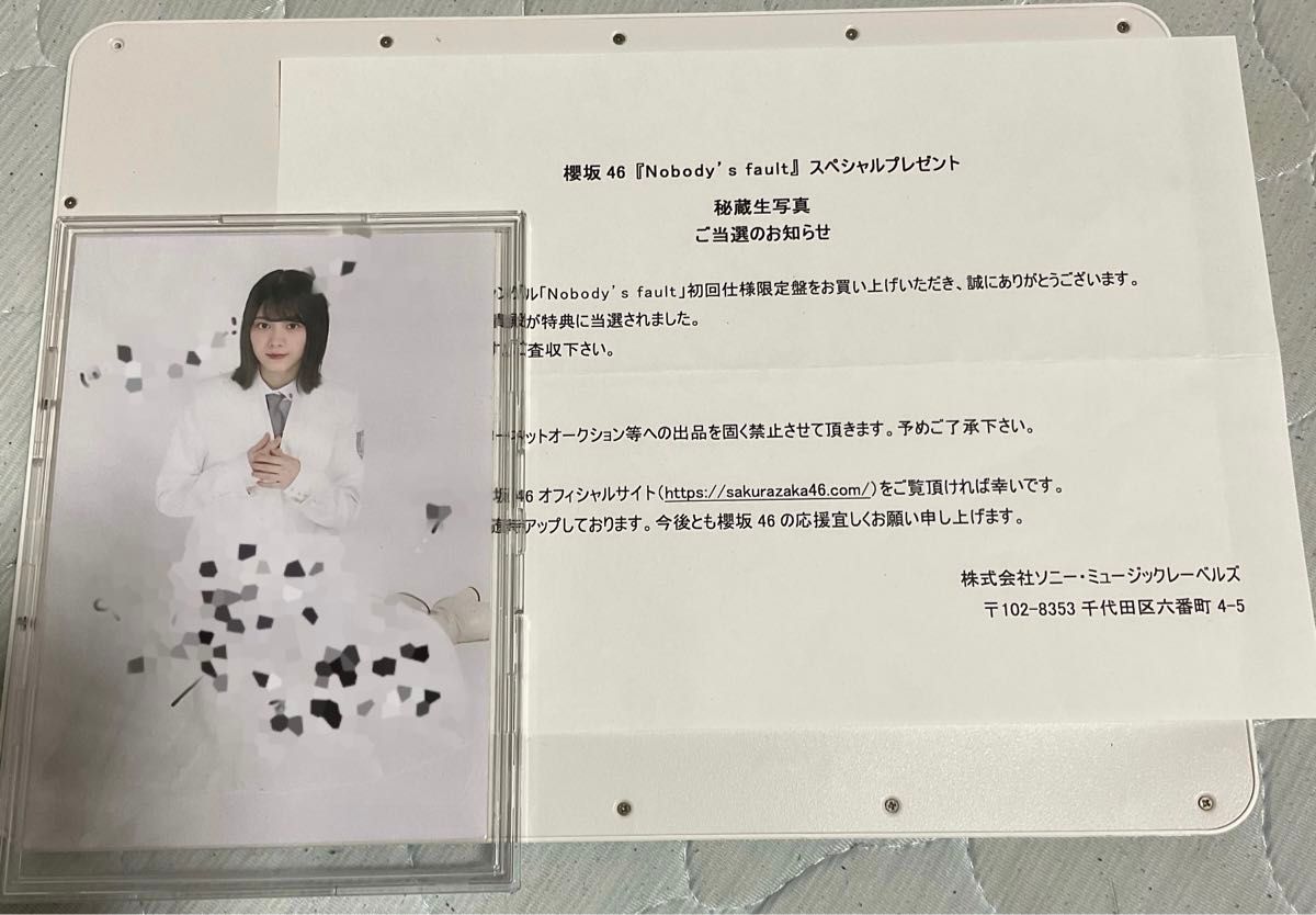 櫻坂46 森田ひかる 生写真 Nobody's fault 直筆 サイン 秘蔵生 櫻坂46 森田ひかる 生写真 Nobody's fault 直筆 サイン 秘蔵生