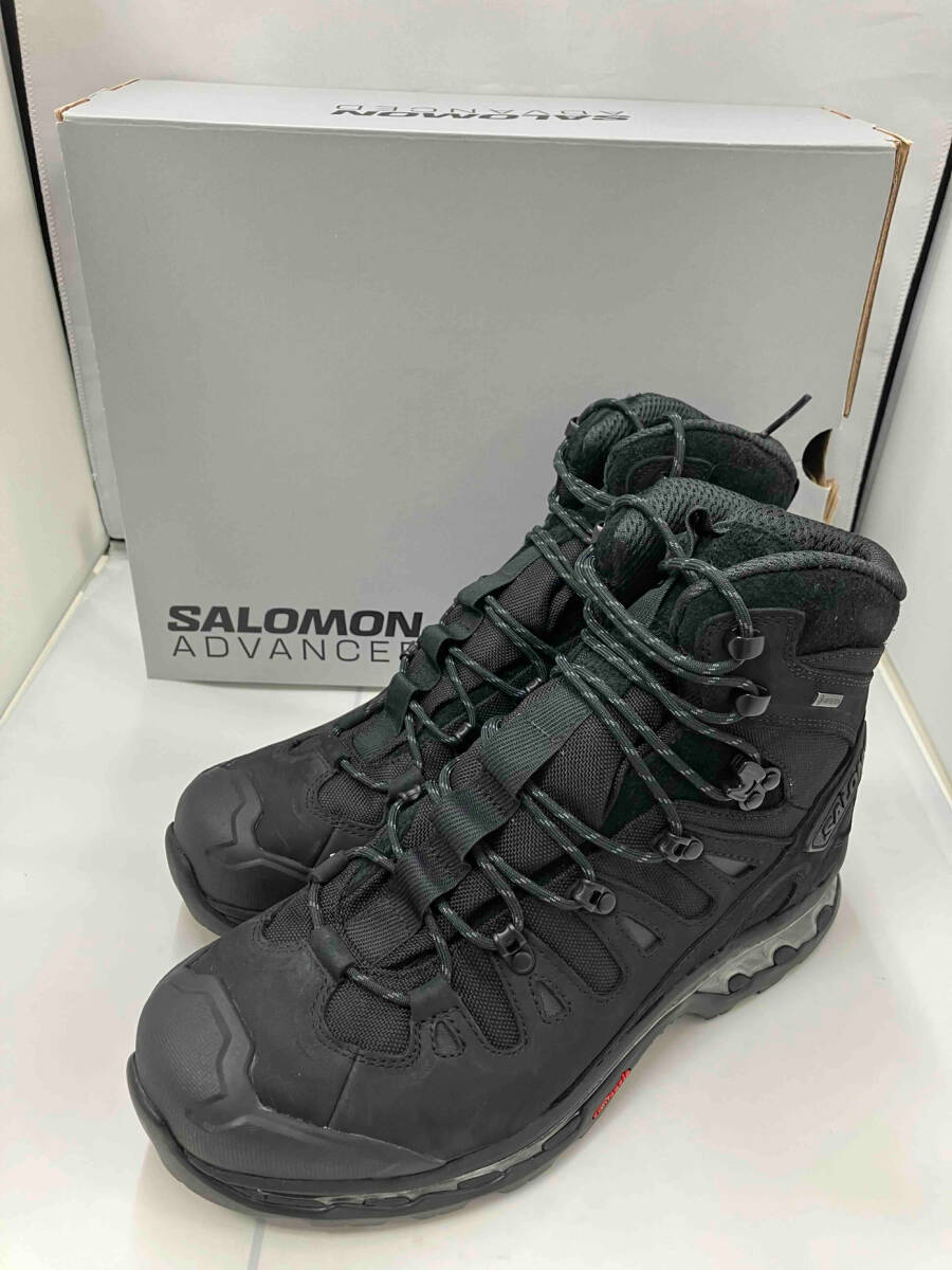 送料無料 日本 28.5cm salomon/QUEST ADVANCED/416685 GTX 28.5cm