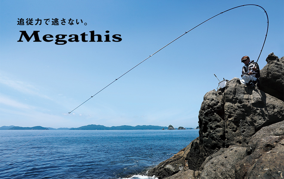 メガディス AGS 175-53 磯竿 メガディス AGS 175-53 磯竿