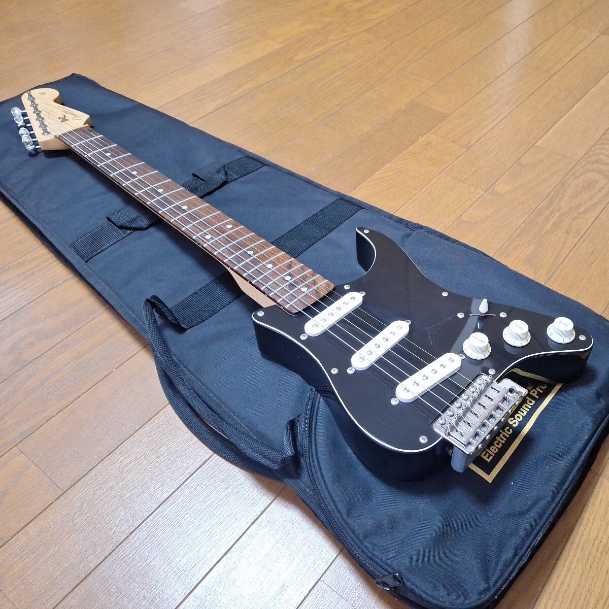 Bibian 比比昂- ESP Grass Roots GR-PGG ピックガードギター Bibian 比比昂- ESP Grass Roots GR-PGG ピックガードギター