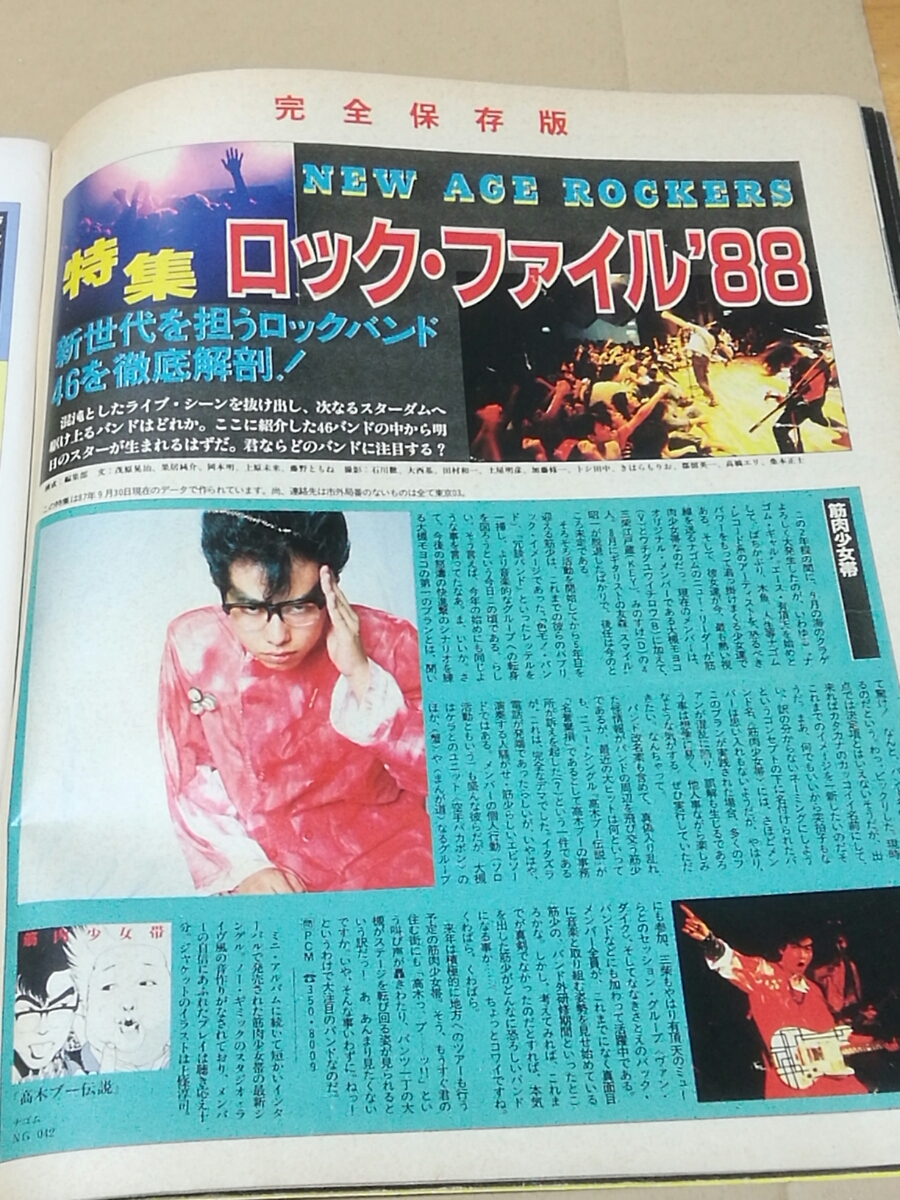 宝島　1987年11月号　チェッカーズ、桑田佳祐、藤井尚之、ブルーハーツ、ラフィンノーズ、バンドファイル_画像5