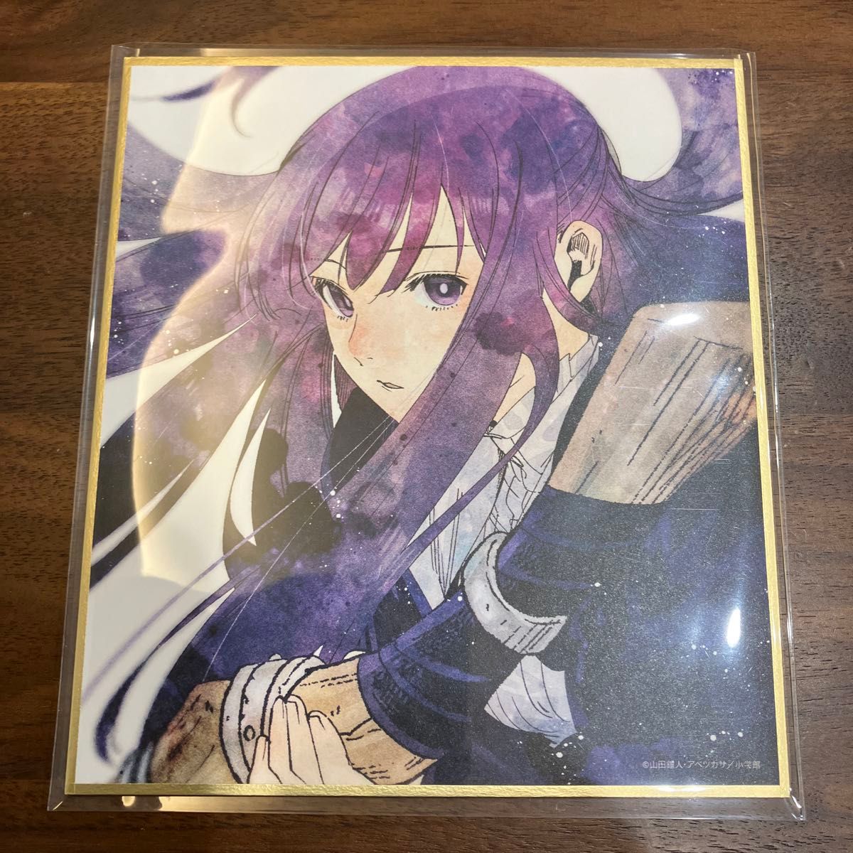 葬送のフリーレン Blu-ray DVD 特典 アベツカサ先生描き下ろし 葬送のフリーレン Blu-ray DVD 特典 アベツカサ先生描き下ろし