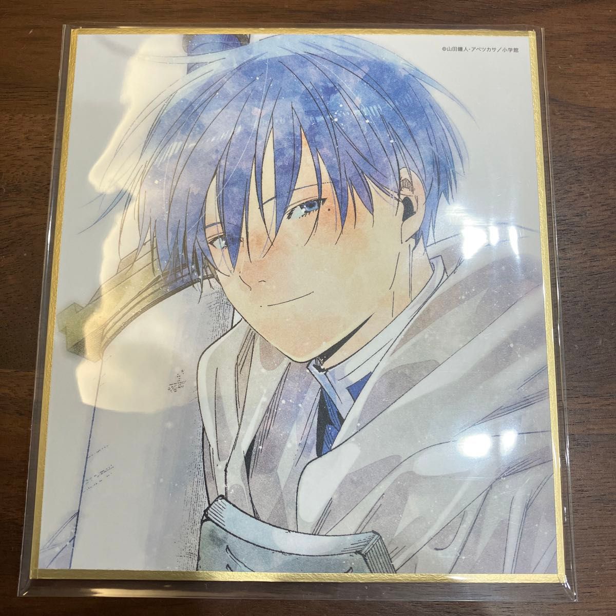 葬送のフリーレン Blu-ray DVD 特典 アベツカサ先生描き下ろし 葬送のフリーレン Blu-ray DVD 特典 アベツカサ先生描き下ろし