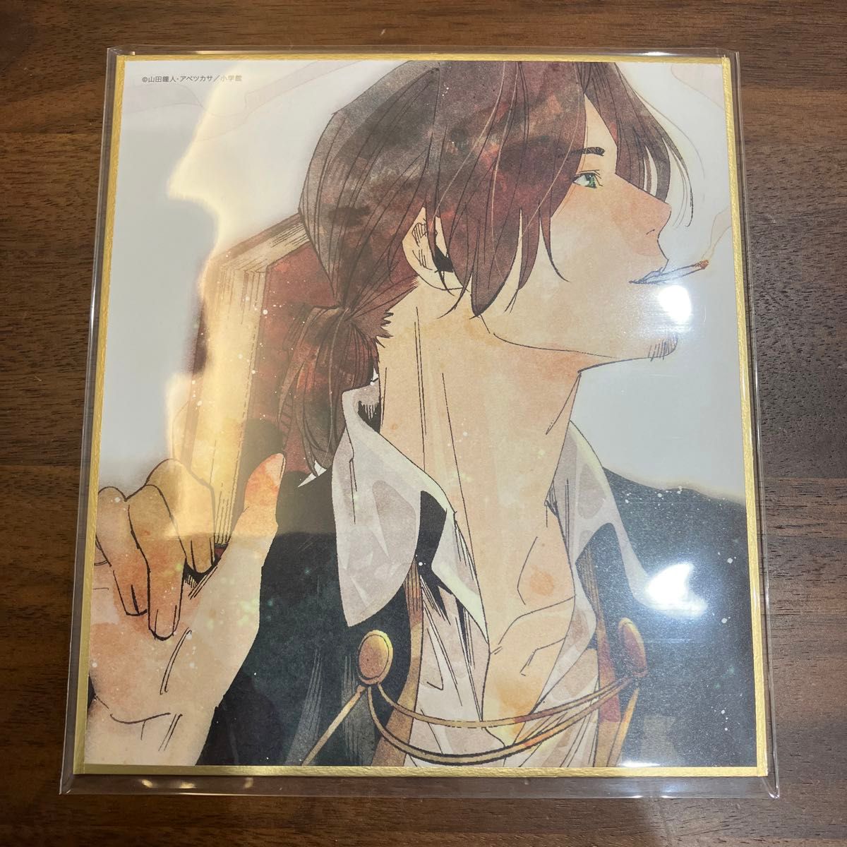 葬送のフリーレン Blu-ray DVD 特典 アベツカサ先生描き下ろし 葬送のフリーレン Blu-ray DVD 特典 アベツカサ先生描き下ろし