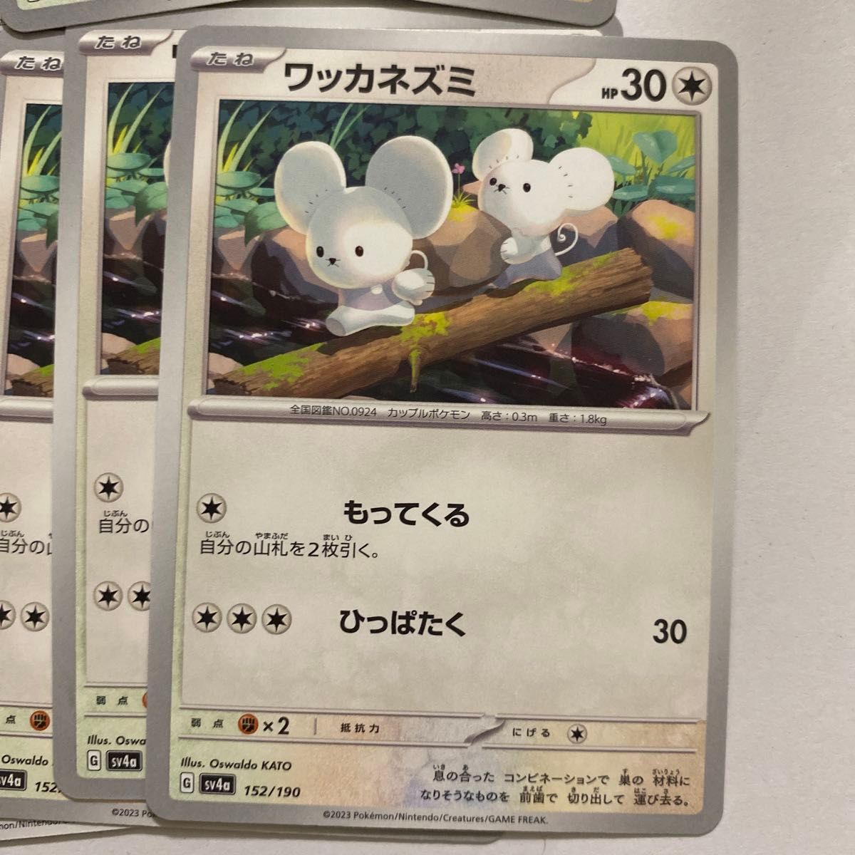 イッカネズミ ワッカネズミ ポケモンカード|Yahoo!フリマ(旧 イッカネズミ ワッカネズミ ポケモンカード|Yahoo!フリマ(旧