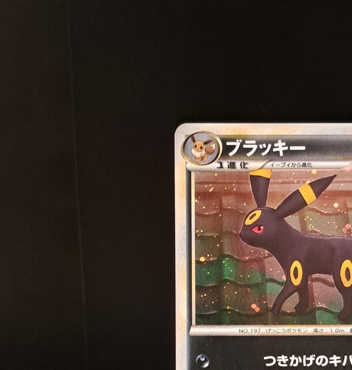 ブラッキー LEGEND レジェンド アンリミ 037/080 L2 特大ホロ ブラッキー LEGEND レジェンド アンリミ 037/080 L2 特大ホロ