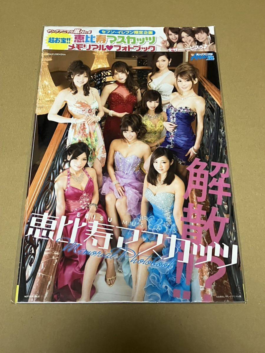 天使もえ チラシ 非売品 恵比寿マスカッツ 画像・写真 【恵比寿☆マスカッツインタビューvol.4】天使もえ(1