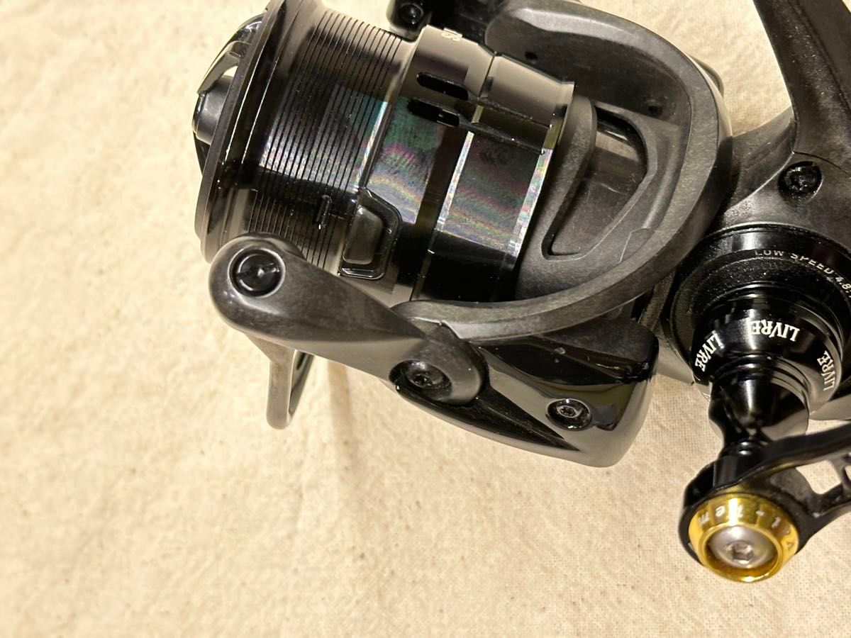 限定SLP WORKS x ディスプラウト DSLT 1000S-P 中古 カスタム品 限定SLP WORKS x ディスプラウト DSLT 1000S-P 中古 カスタム品