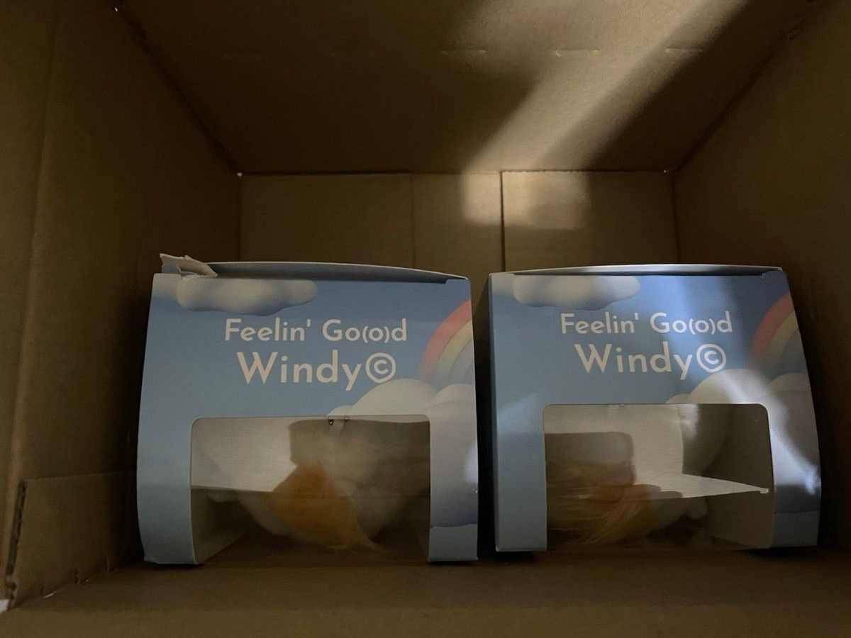 Fujii Kaze 藤井風 Windy ぬいぐるみキーホルダー 2個セット Fujii Kaze 藤井風 Windy ぬいぐるみキーホルダー 2個セット
