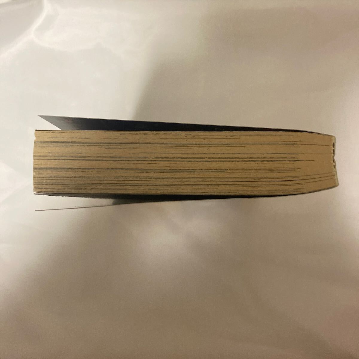 6120円 新撰組隊外記 無名の剣/ 坂口いく - 青年 6120円 新撰組隊外記 無名の剣/ 坂口いく - 青年