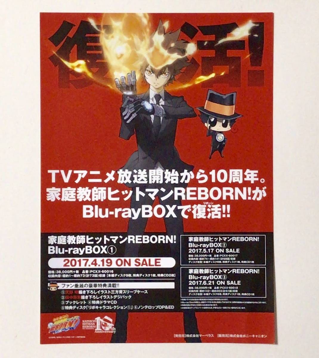 家庭教師ヒットマンREBORN! Blu-ray BOX 発売告知チラシ*沢田綱吉ツナ/リボーン_画像1