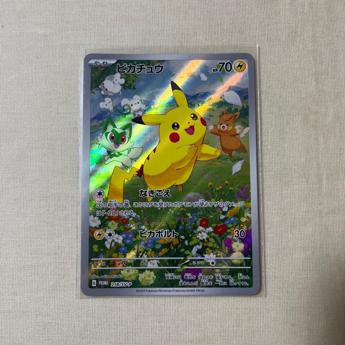 ポケモンカード ポケカの夏がキタ プロモカードGETキャンペーン ポケモンカード ポケカの夏がキタ プロモカードGETキャンペーン