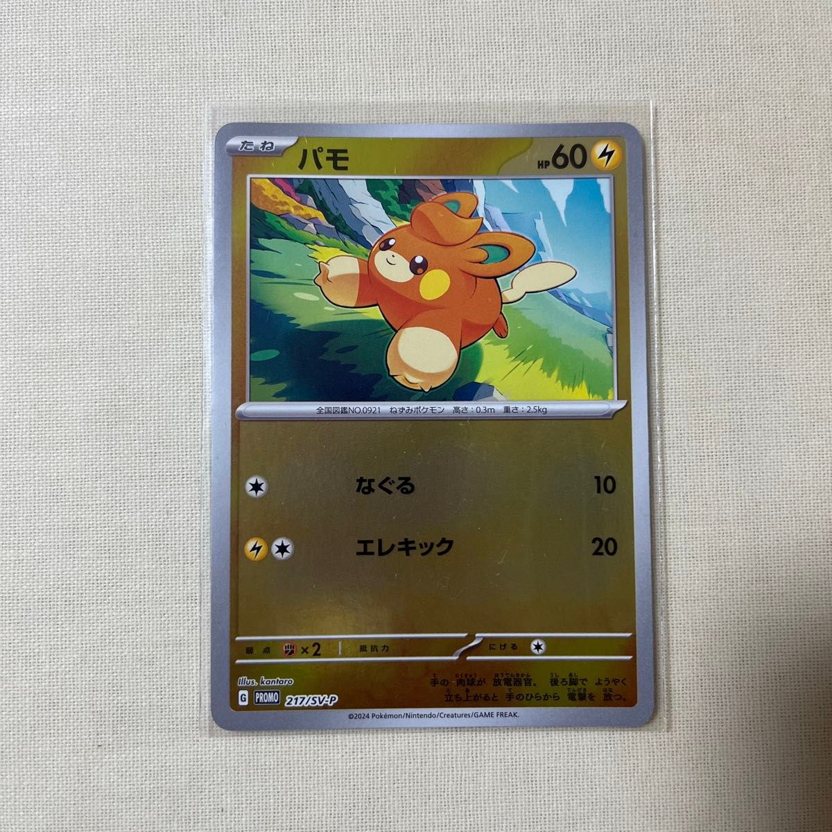 ポケモンカード ポケカの夏がキタ プロモカードGETキャンペーン ポケモンカード ポケカの夏がキタ プロモカードGETキャンペーン
