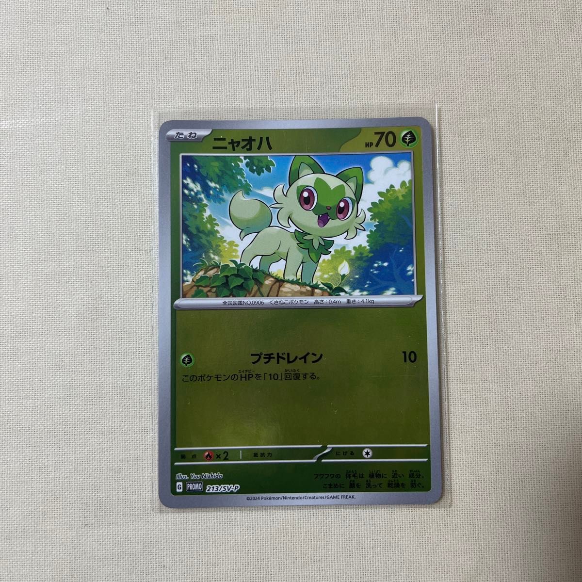 ポケモンカード ポケカの夏がキタ プロモカードGETキャンペーン ポケモンカード ポケカの夏がキタ プロモカードGETキャンペーン