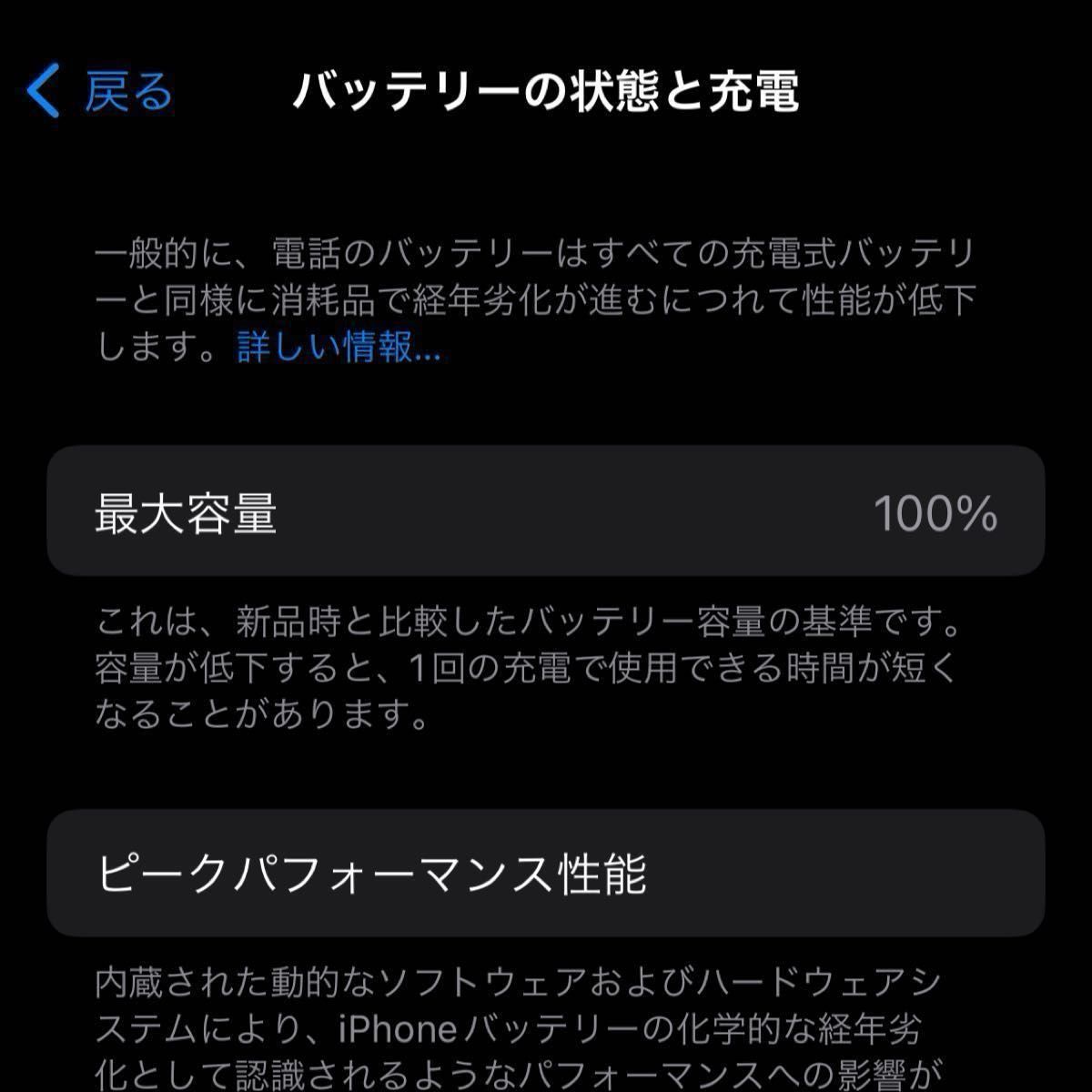 iPhone 12 mini SIMフリー Apple 純正バッテリー100% 極美品 iPhone 12 mini SIMフリー Apple 純正バッテリー100% 極美品