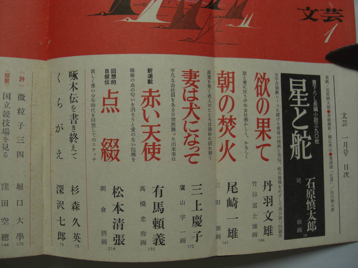  литературное искусство 1965 год 1 месяц Ishihara Shintaro [ звезда ..] первый .книга@mola vi a[..].. письменный перевод 200 листов 