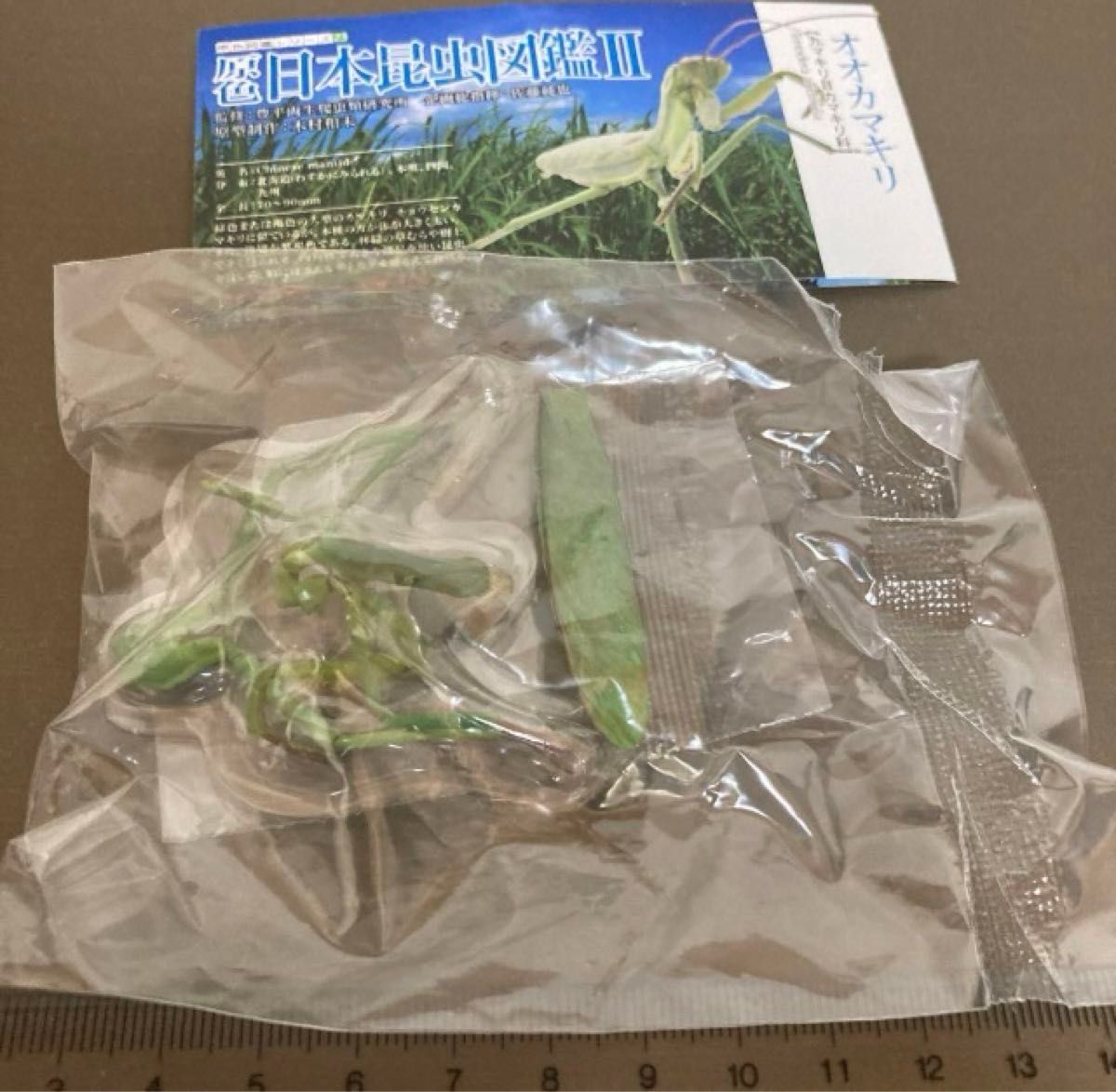 原色日本昆虫図鑑Ⅱオオカマキリ|Yahoo!フリマ(旧PayPayフリマ) 原色日本昆虫図鑑Ⅱオオカマキリ|Yahoo!フリマ(旧PayPayフリマ)