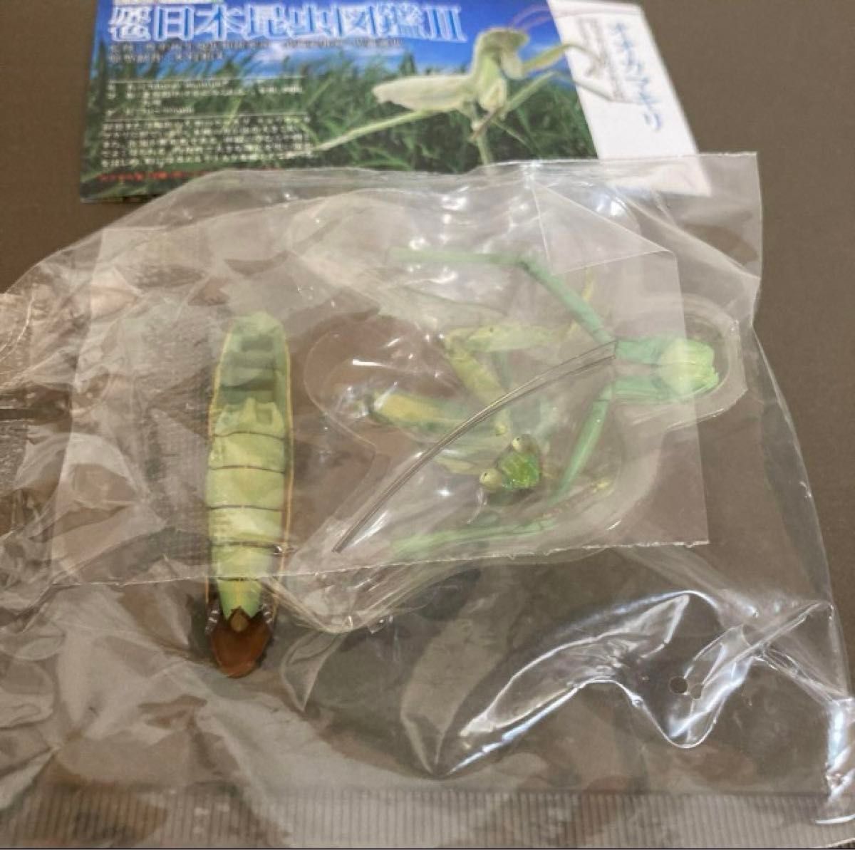 原色日本昆虫図鑑Ⅱオオカマキリ|Yahoo!フリマ(旧PayPayフリマ) 原色日本昆虫図鑑Ⅱオオカマキリ|Yahoo!フリマ(旧PayPayフリマ)