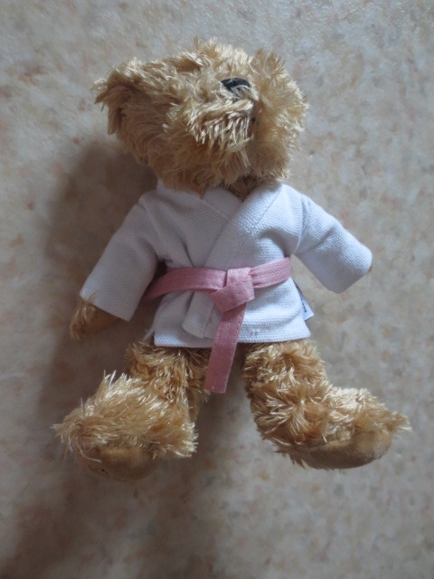  Lexus Bear -* new goods * rare * judo put on * karate uniform etc. *LEXUS* teddy bear * bear. soft toy * Lexus collection 