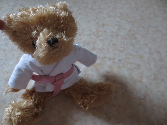  Lexus Bear -* new goods * rare * judo put on * karate uniform etc. *LEXUS* teddy bear * bear. soft toy * Lexus collection 