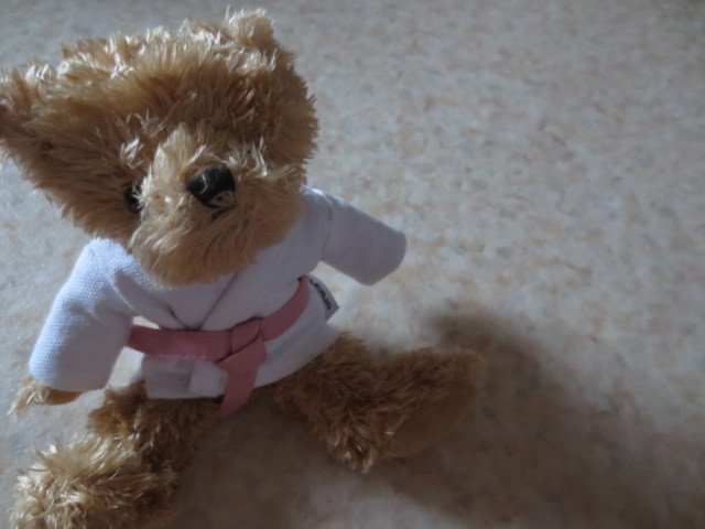  Lexus Bear -* new goods * rare * judo put on * karate uniform etc. *LEXUS* teddy bear * bear. soft toy * Lexus collection 