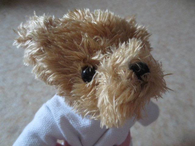  Lexus Bear -* new goods * rare * judo put on * karate uniform etc. *LEXUS* teddy bear * bear. soft toy * Lexus collection 