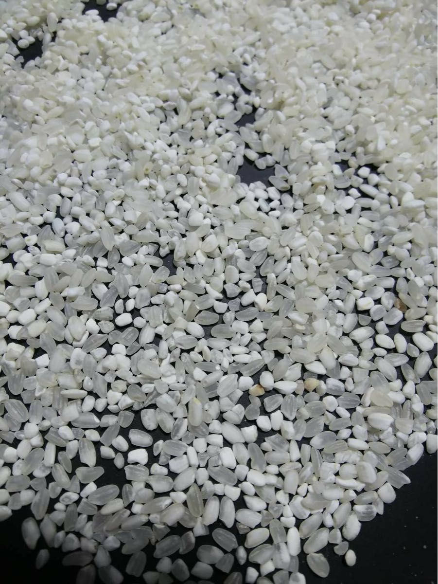 砕米 折れ米 20kg 飼料用米 令和5年産 日本米100% 鳥のエサ 砕米 折れ米 20kg 飼料用米 令和5年産 日本米100% 鳥のエサ