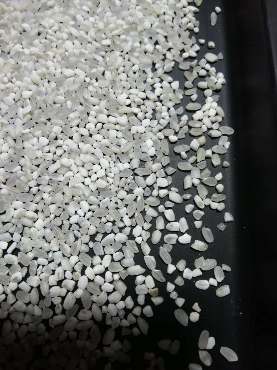 砕米 折れ米 20kg 飼料用米 令和5年産 日本米100% 鳥のエサ 砕米 折れ米 20kg 飼料用米 令和5年産 日本米100% 鳥のエサ