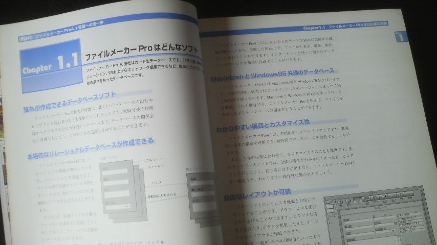 ☆　ファイルメーカー　pro4.1　スパーリファレンス　デペロッパ　Edition対応　for Macintosh　　管理番号57k　☆