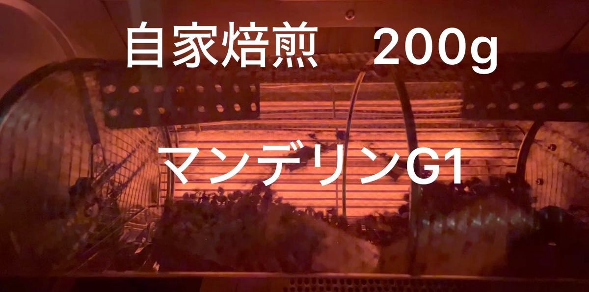 自家焙煎 珈琲豆 マンデリンG1 200g