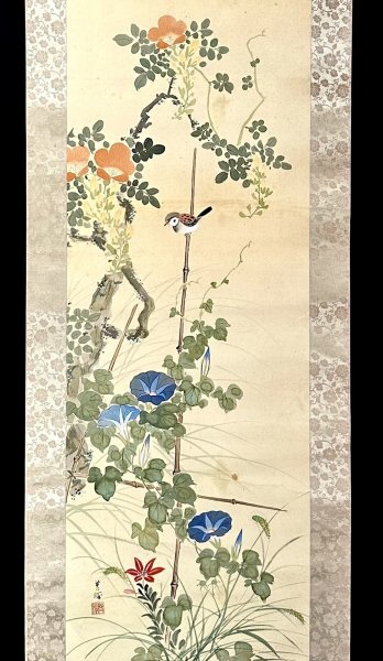 S8611【真作】[Ｎ7] 杉山苔径「朝顔雀図」掛軸 花鳥図 鳥獣 絹本 明治-昭和時代の日本画家 長野の人