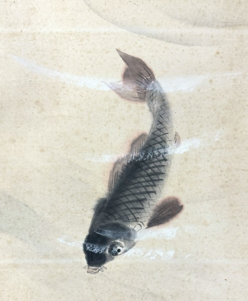 S8618 真作 根津香畝「遊鯉図」掛軸 花鳥図 鳥獣 紙本 明治大正 S8618 真作 根津香畝「遊鯉図」掛軸 花鳥図 鳥獣 紙本 明治大正