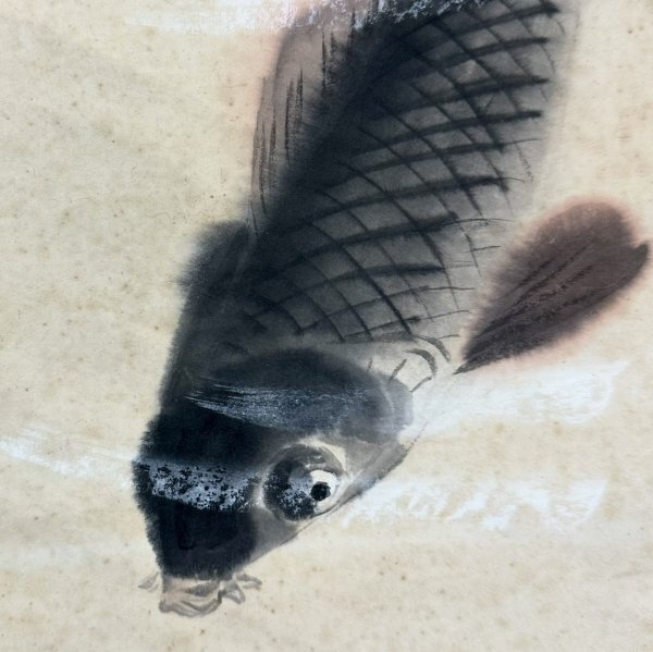 S8618 真作 根津香畝「遊鯉図」掛軸 花鳥図 鳥獣 紙本 明治大正 S8618 真作 根津香畝「遊鯉図」掛軸 花鳥図 鳥獣 紙本 明治大正