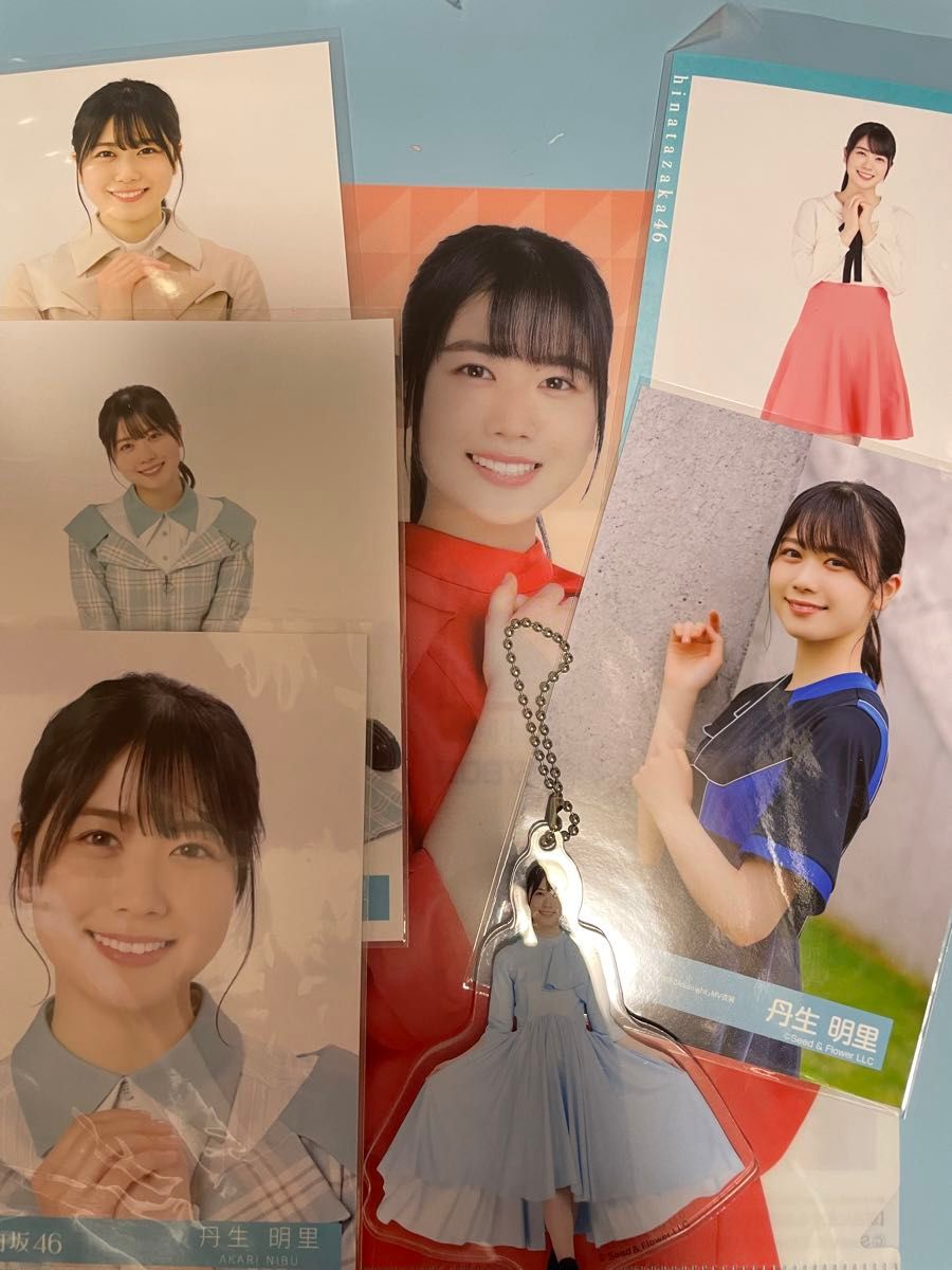 日向坂46】丹生明里 まとめ売り(生写真5枚 ファイル 日向坂46】丹生明里 まとめ売り(生写真5枚 ファイル