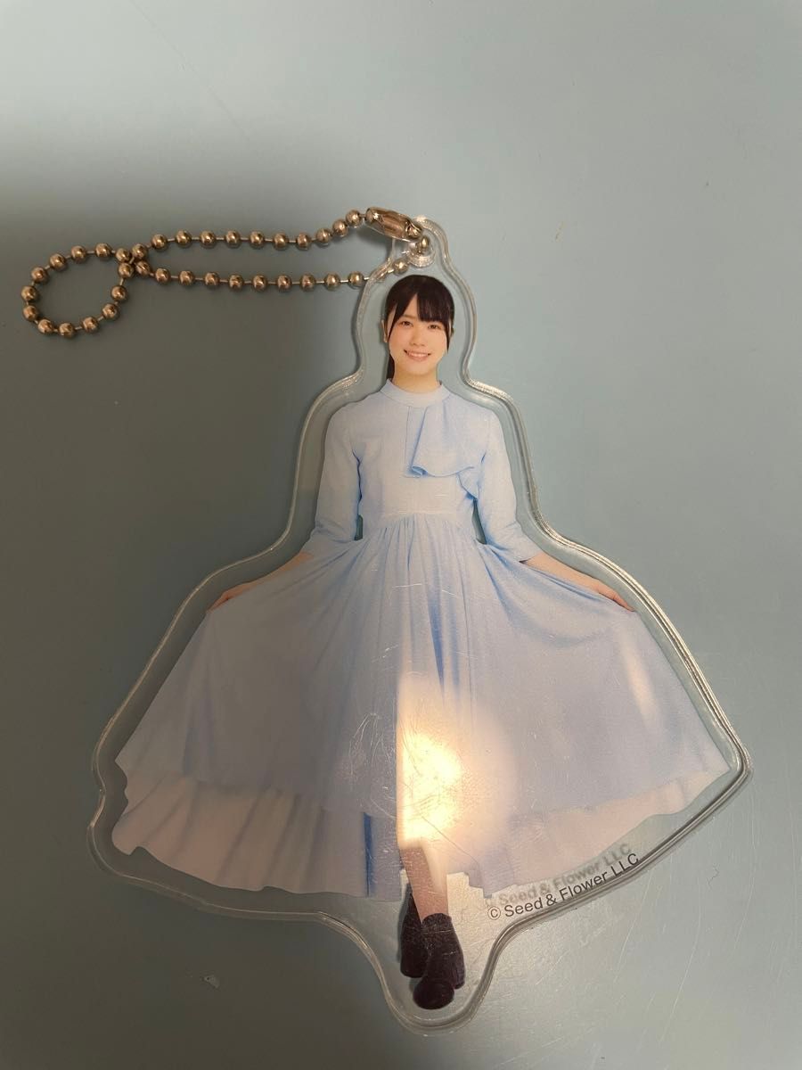 日向坂46】丹生明里 まとめ売り(生写真5枚 ファイル 日向坂46】丹生明里 まとめ売り(生写真5枚 ファイル