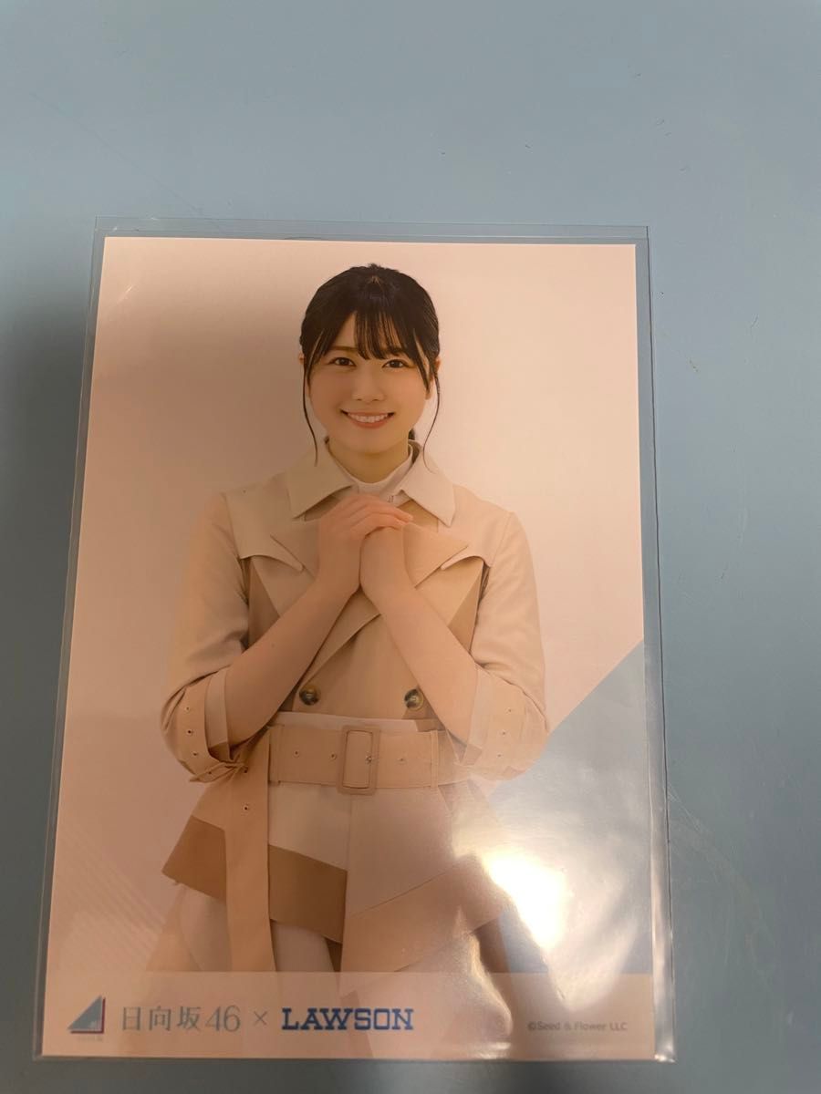 日向坂46】丹生明里 まとめ売り(生写真5枚 ファイル 日向坂46】丹生明里 まとめ売り(生写真5枚 ファイル